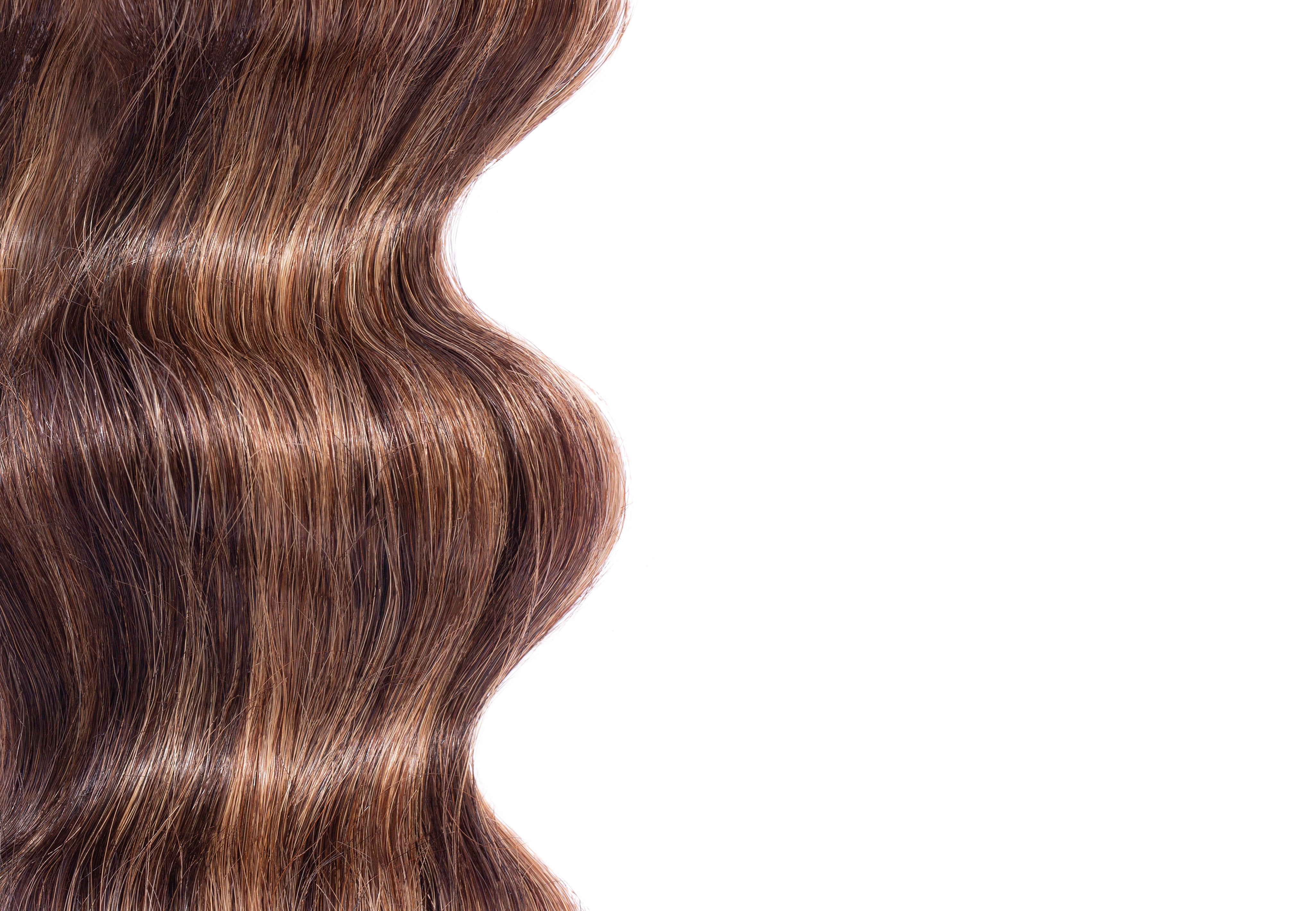 Hair Extensions Seamless Clip in Extensions- 100% Premium Human Hair CHESTNUT BROWN BALAYAGE / 16" - The Extension Bar