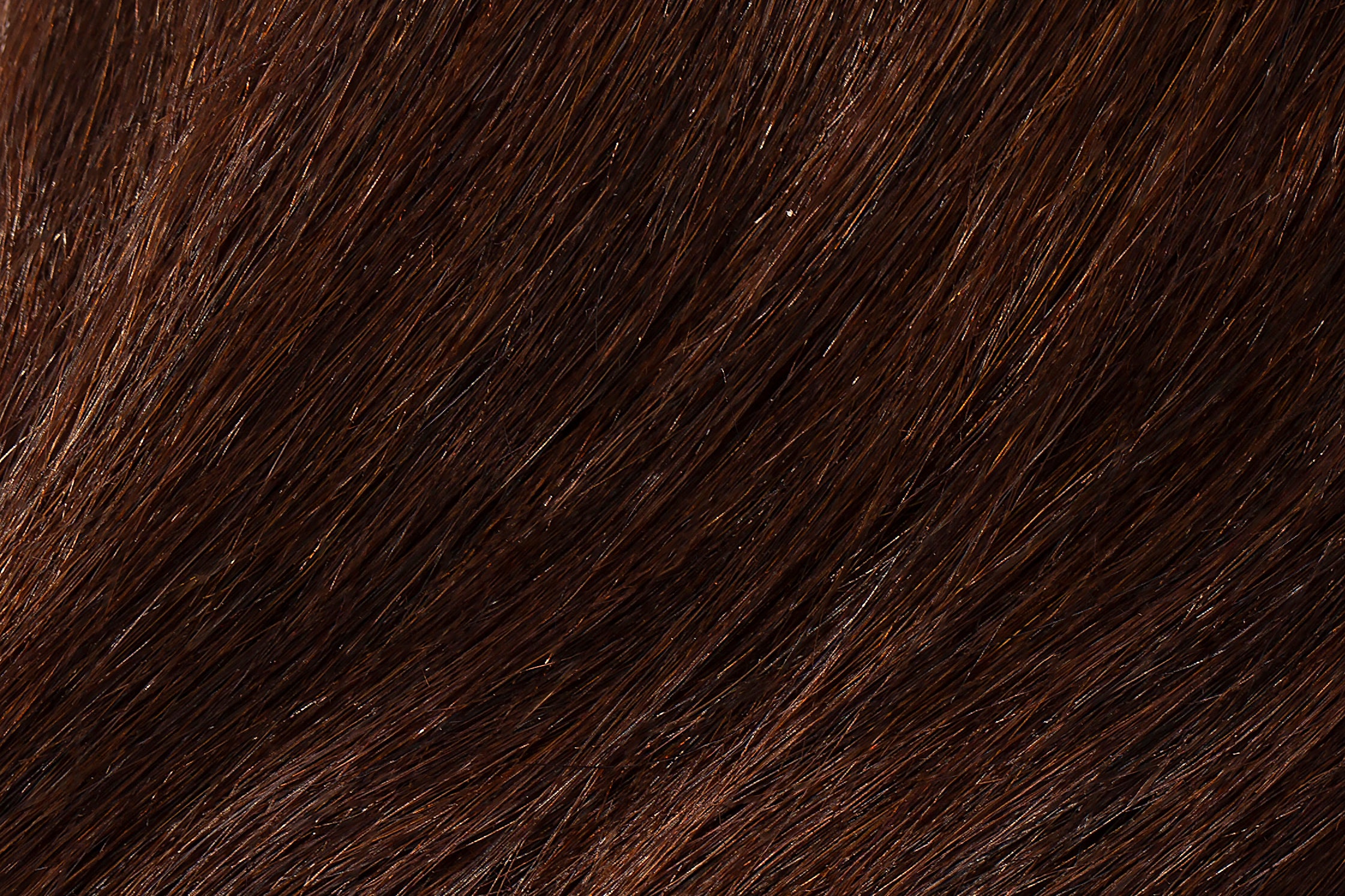 Health & Beauty Faux Clip In Bangs - 100% Human Hair Mocha Brown #2 - The Extension Bar