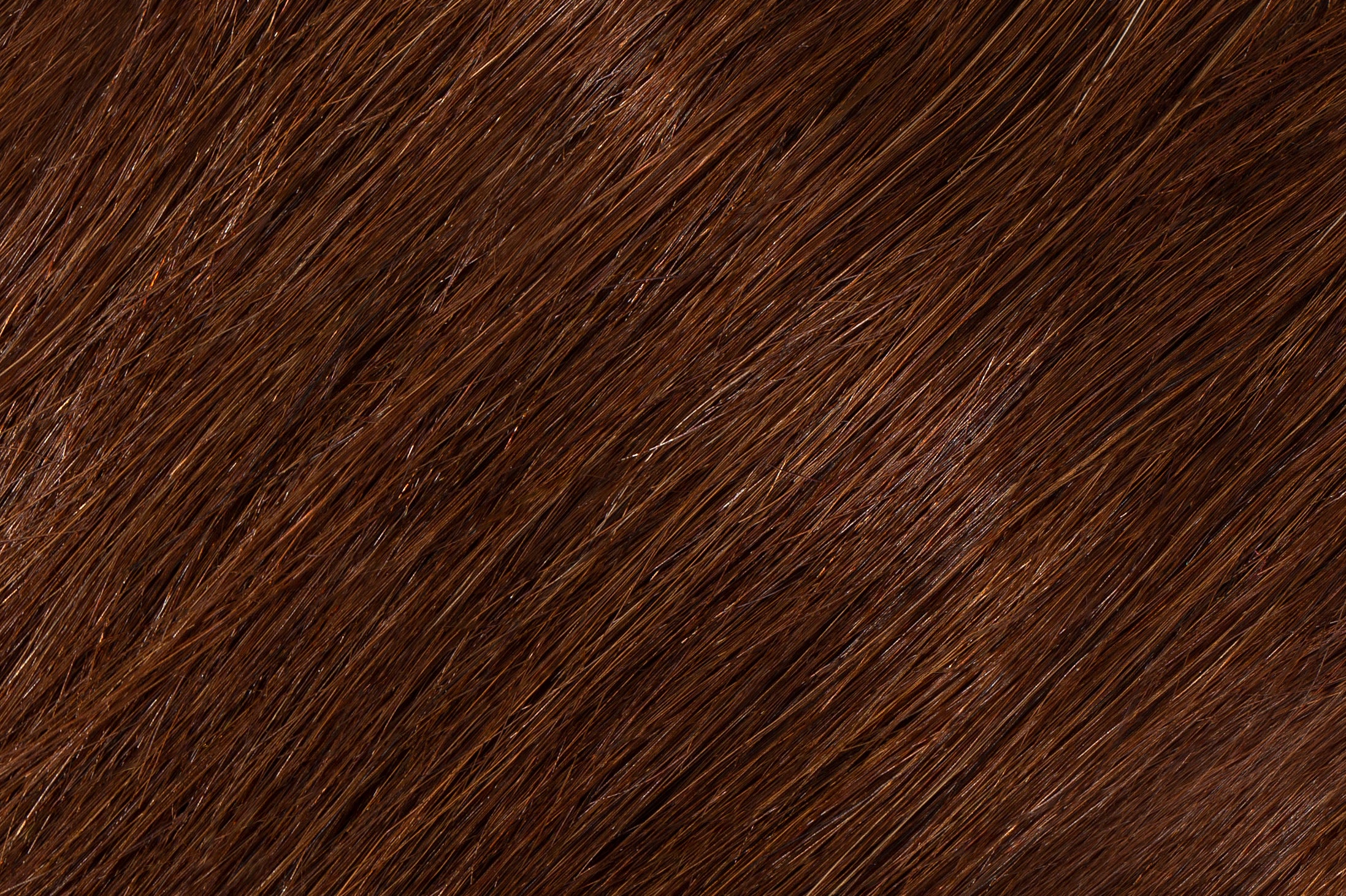 Hair Extensions Faux Wispy Clip in Bangs - 100% Human Hair Chocolate Brown #4 - The Extension Bar