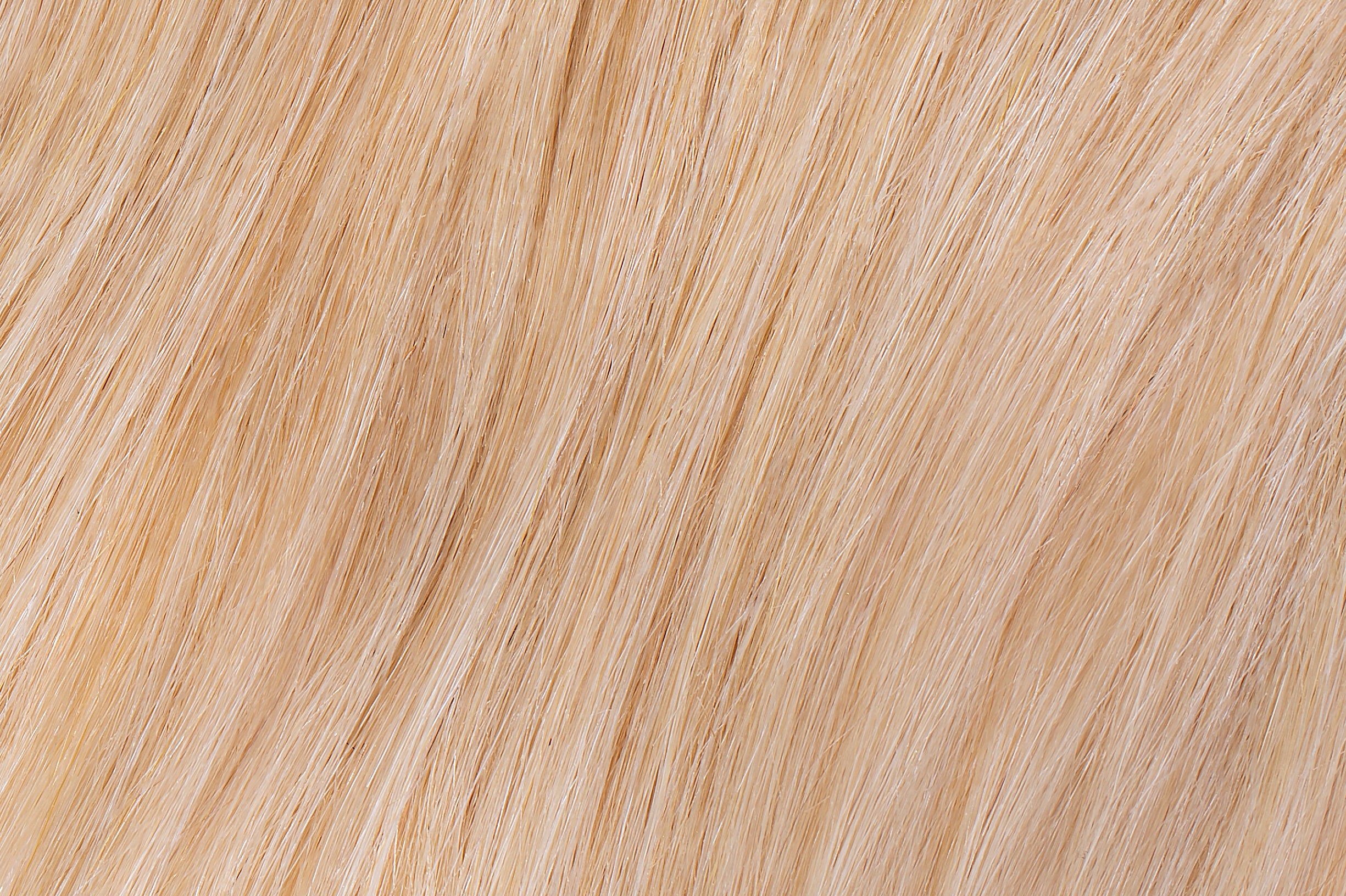 Hair Extensions Faux Wispy Clip in Bangs - 100% Human Hair Beach Blonde #613 - The Extension Bar