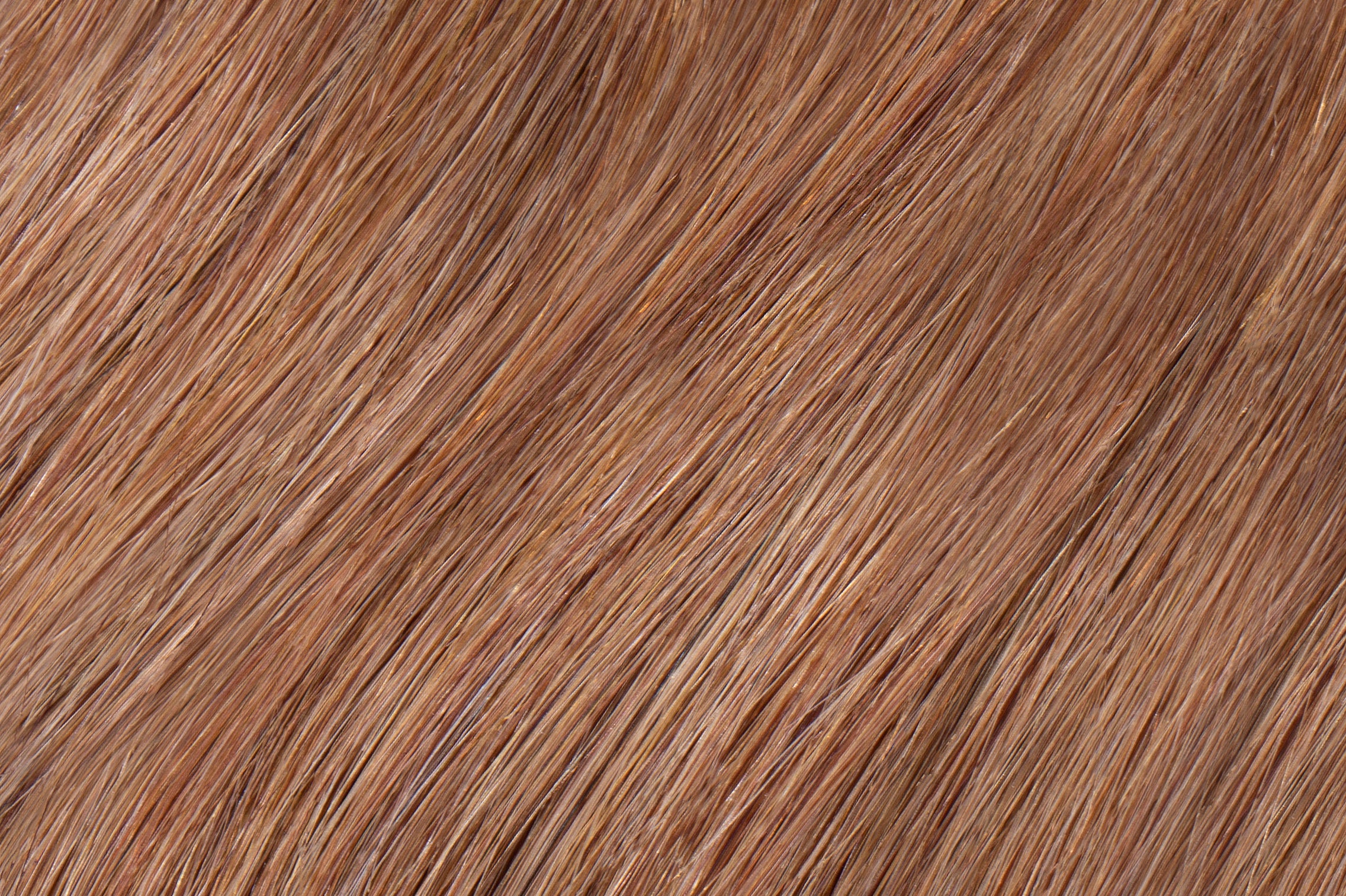 Hair Extensions Faux Wispy Clip in Bangs - 100% Human Hair Chestnut Brown #6 - The Extension Bar