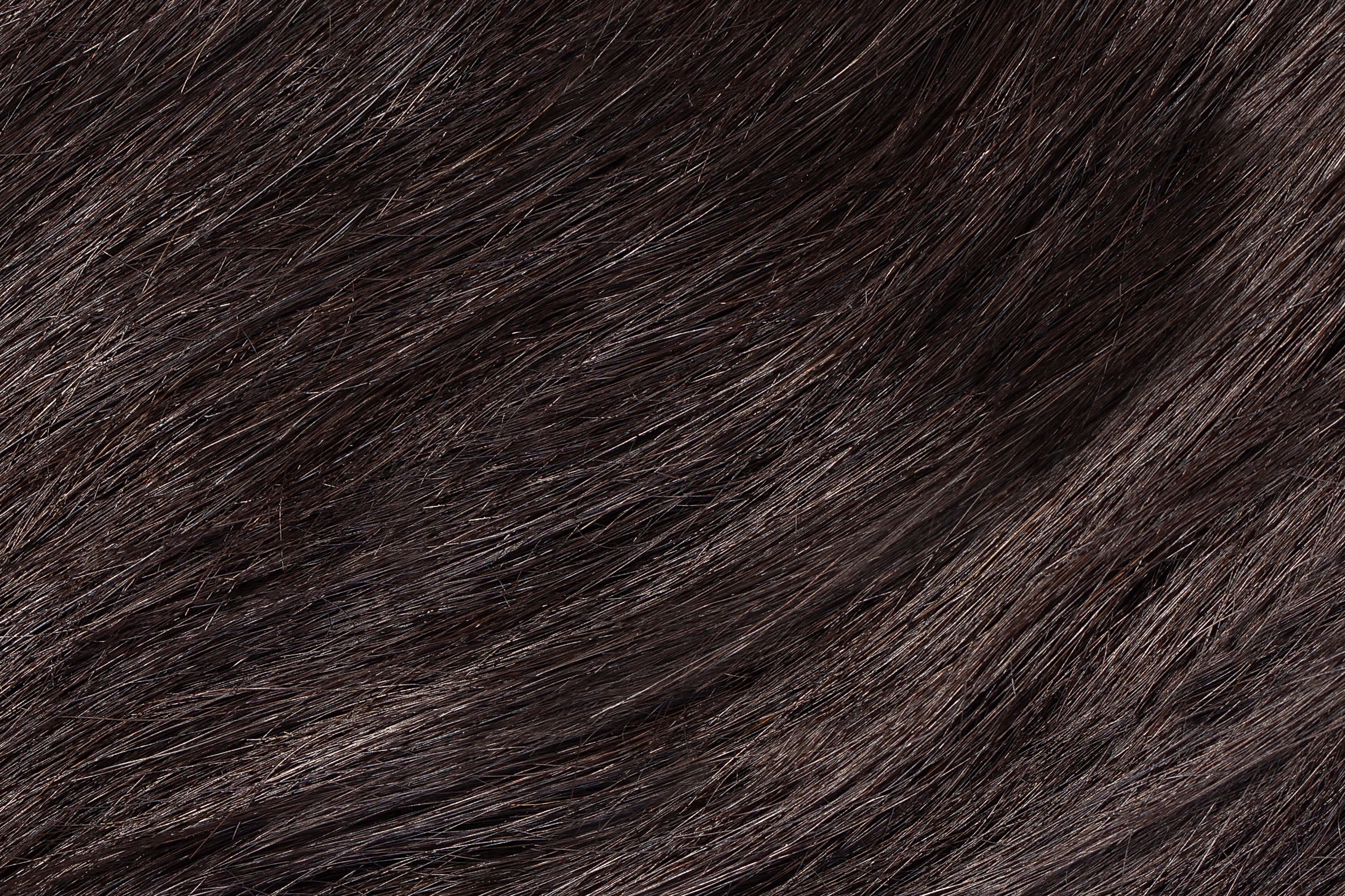 Hair Extensions Faux Wispy Clip in Bangs - 100% Human Hair Natural Black #1B - The Extension Bar